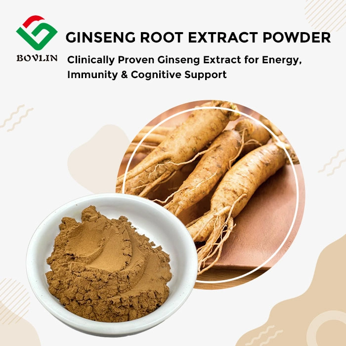 Ginseng Root Extract Powder